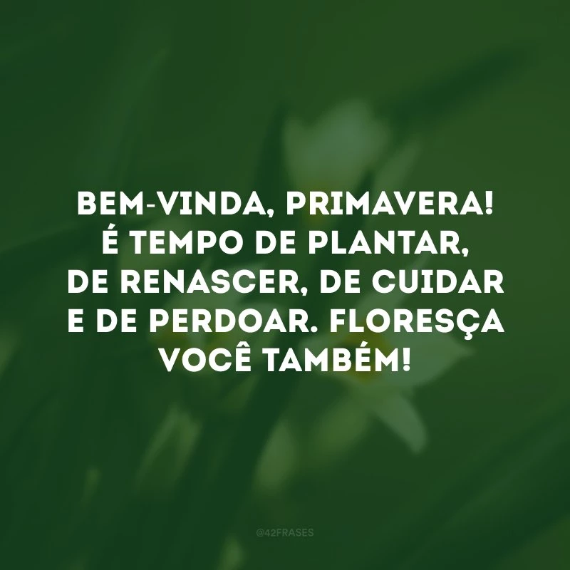 Bem-vinda, primavera! É tempo de plantar, de renascer, de cuidar e de perdoar. Floresça você também! 