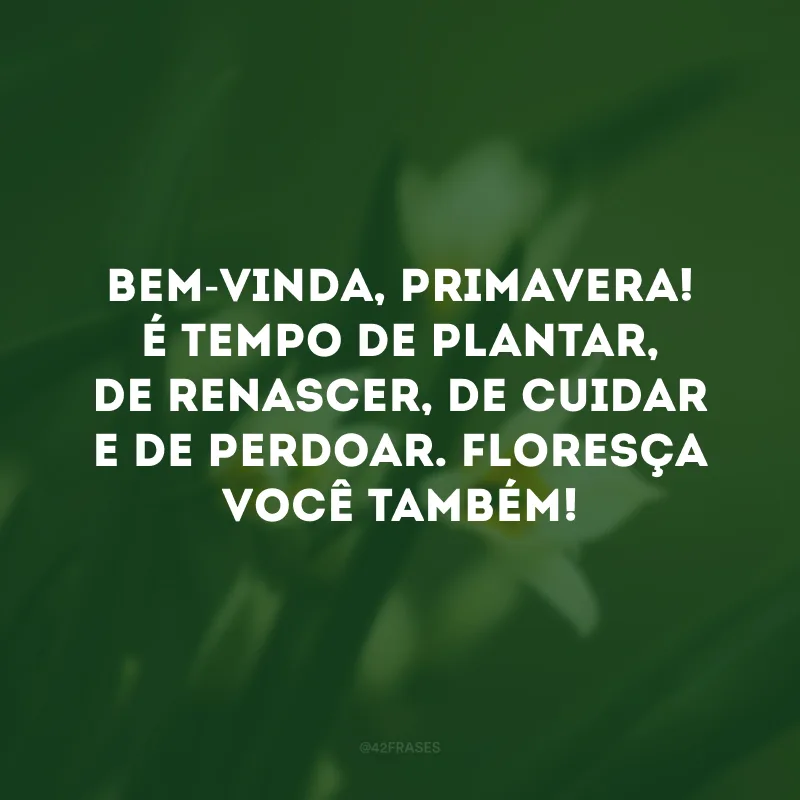 Bem-vinda, primavera! É tempo de plantar, de renascer, de cuidar e de perdoar. Floresça você também! 