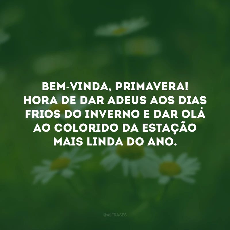 Bem-vinda, primavera! Hora de dar adeus aos dias frios do inverno e dar olá ao colorido da estação mais linda do ano. 