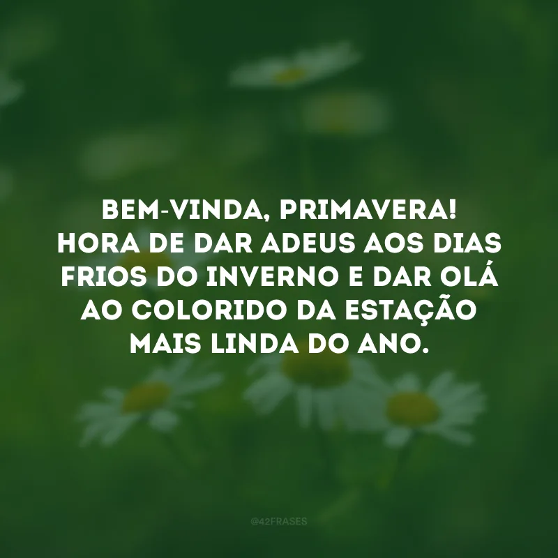 Bem-vinda, primavera! Hora de dar adeus aos dias frios do inverno e dar olá ao colorido da estação mais linda do ano. 