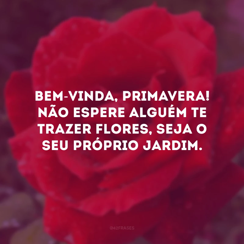 Bem-vinda, primavera! Não espere alguém te trazer flores, seja o seu próprio jardim. 