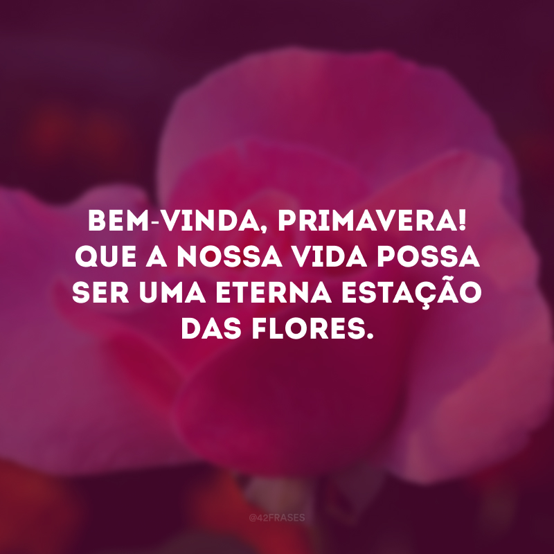 Bem-vinda, primavera! Que a nossa vida possa ser uma eterna estação das flores. 