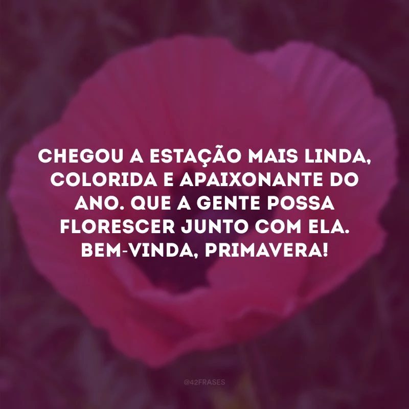 Chegou a estação mais linda, colorida e apaixonante do ano. Que a gente possa florescer junto com ela. Bem-vinda, primavera!