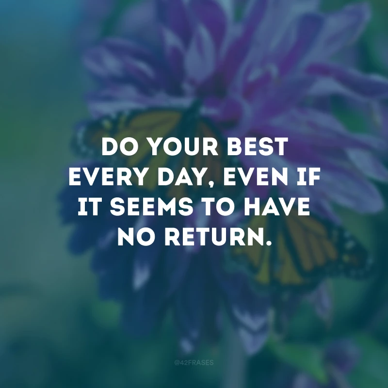 Do your best every day, even if it seems to have no return.
(Faça o seu melhor todos os dias, mesmo que pareça não ter retorno.)