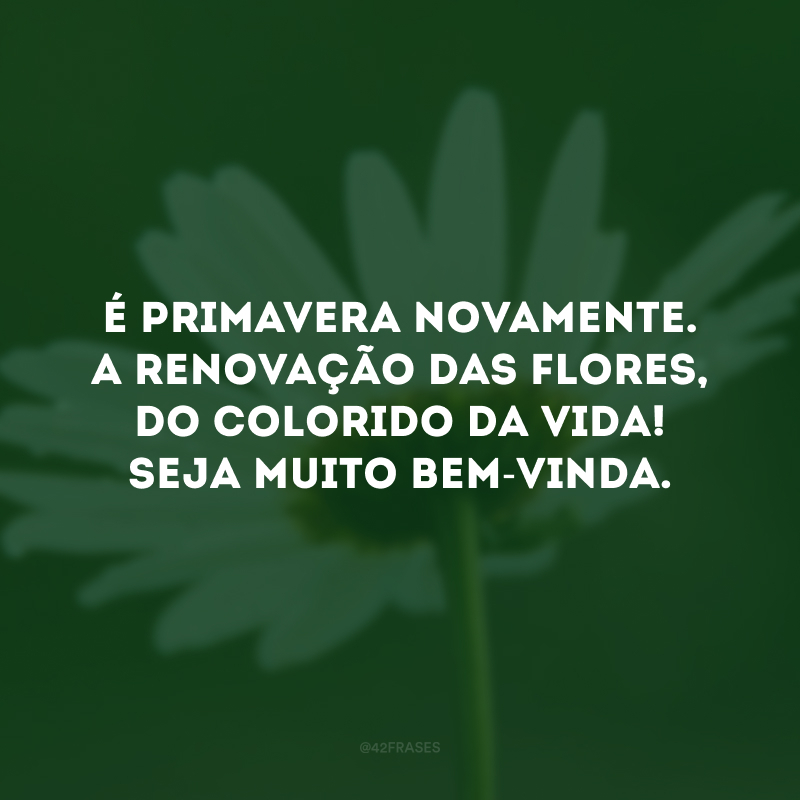 É primavera novamente. A renovação das flores, do colorido da vida! Seja muito bem-vinda. 