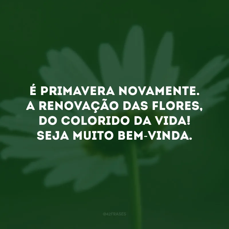 É primavera novamente. A renovação das flores, do colorido da vida! Seja muito bem-vinda. 