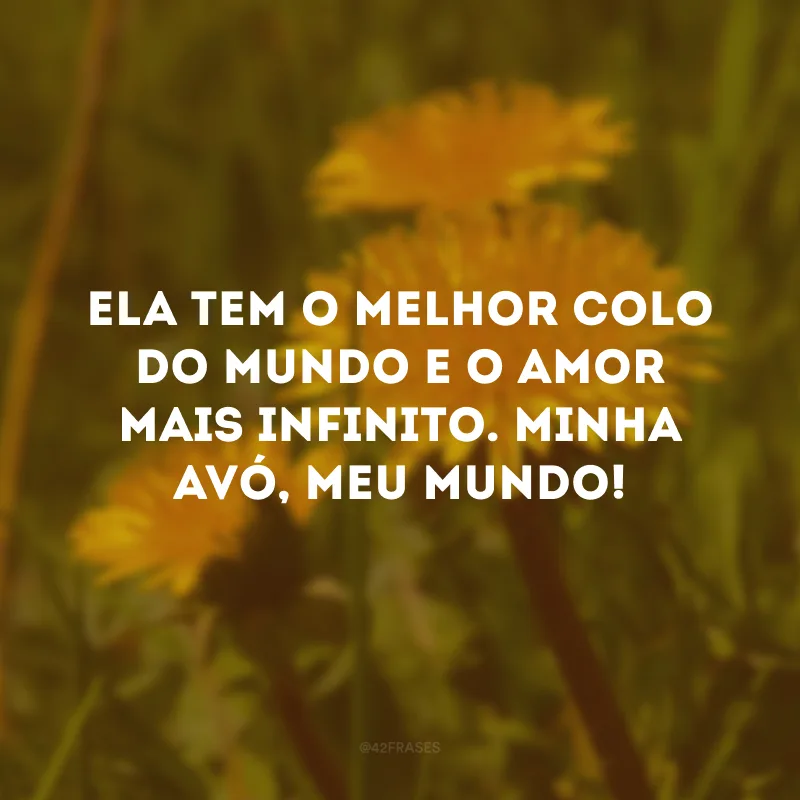Ela tem o melhor colo do mundo e o amor mais infinito. Minha avó, meu mundo!
