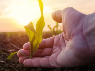 30 frases de Agronomia para quem é apaixonado pela vida do campo