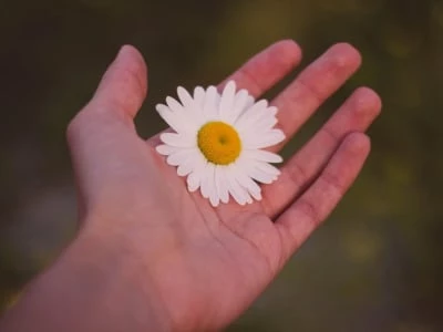 40 frases de cuidado para construir relações com mais empatia