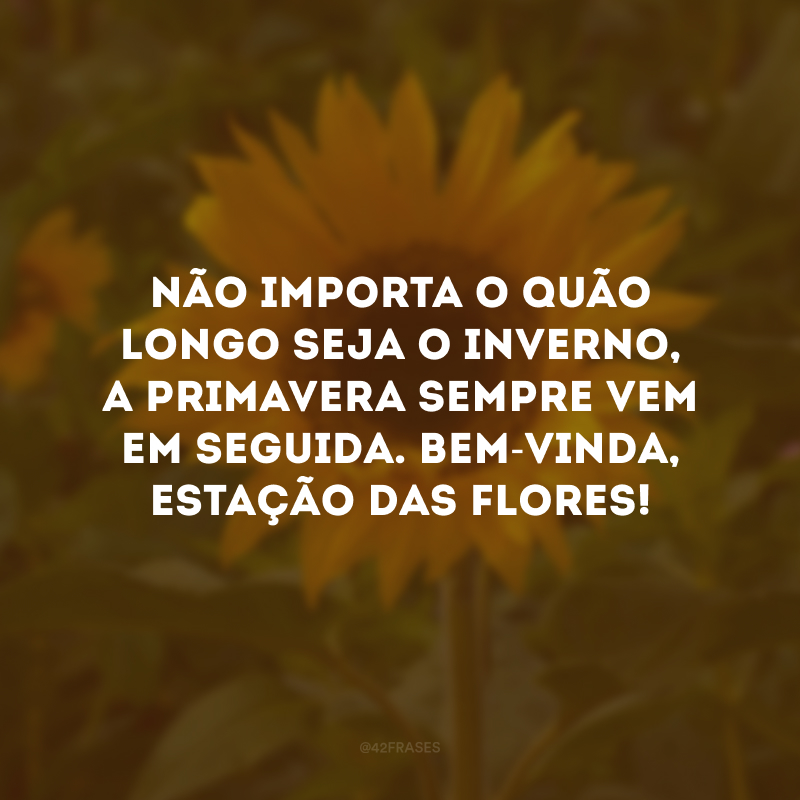 Não importa o quão longo seja o inverno, a primavera sempre vem em seguida. Bem-vinda, estação das flores. 