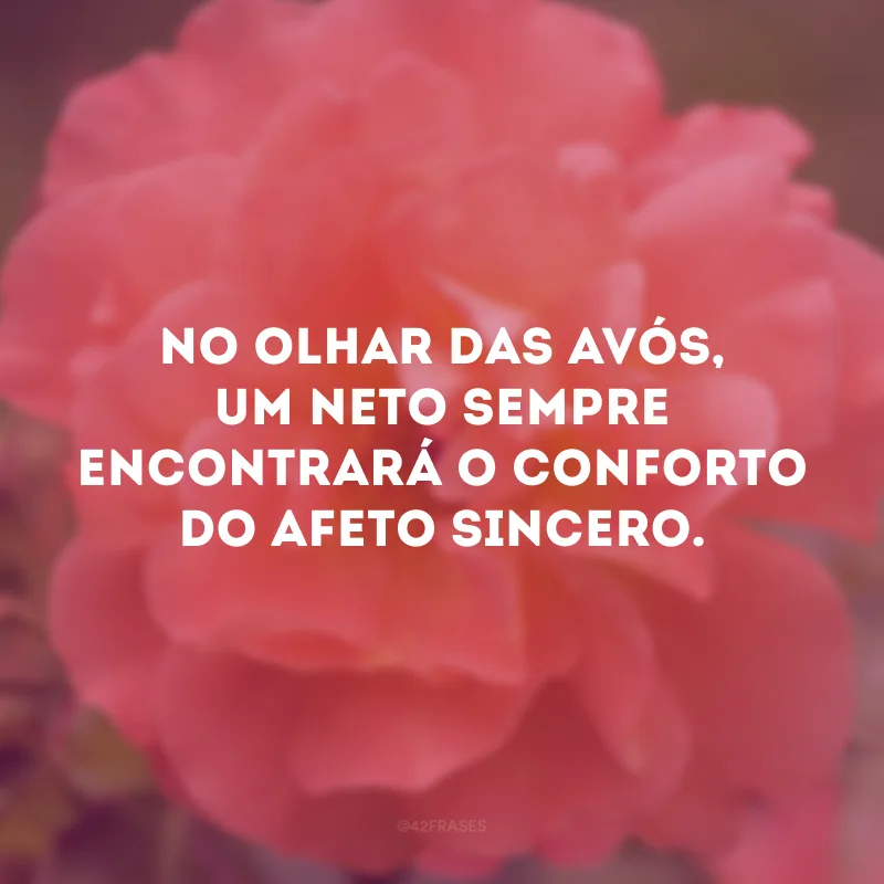No olhar das avós, um neto sempre encontrará o conforto do afeto sincero.