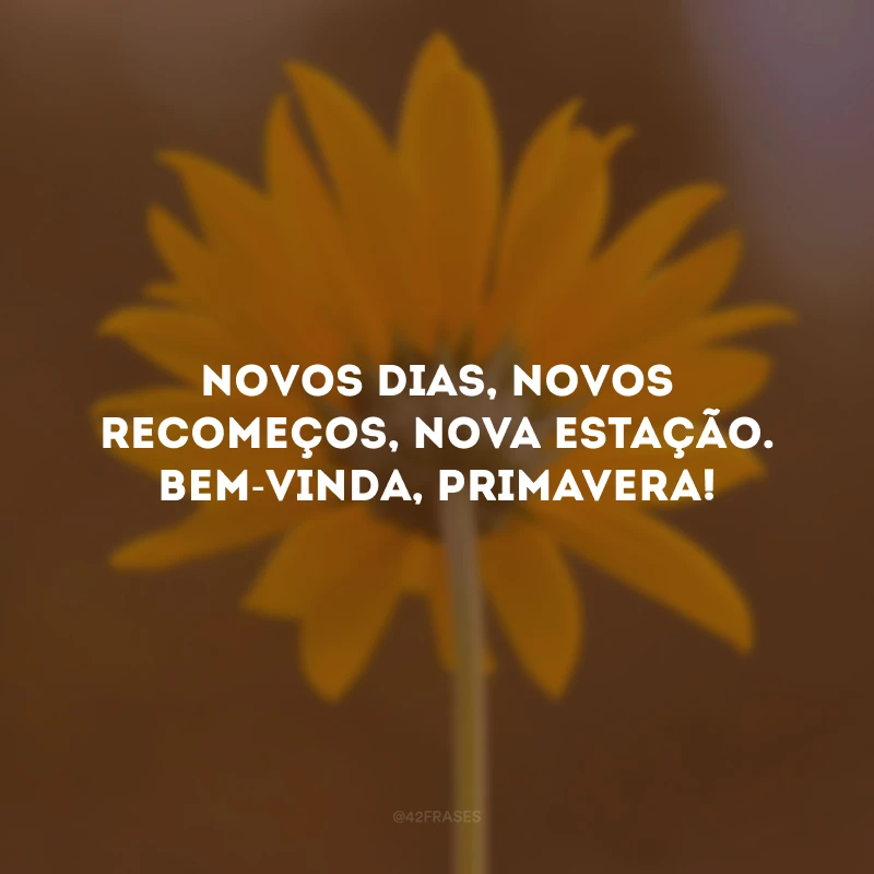 Novos dias, novos recomeços, nova estação. Bem-vinda, primavera!