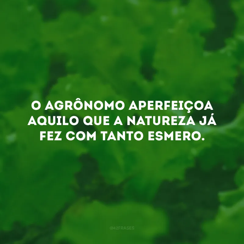 O agrônomo aperfeiçoa aquilo que a natureza já fez com tanto esmero. 