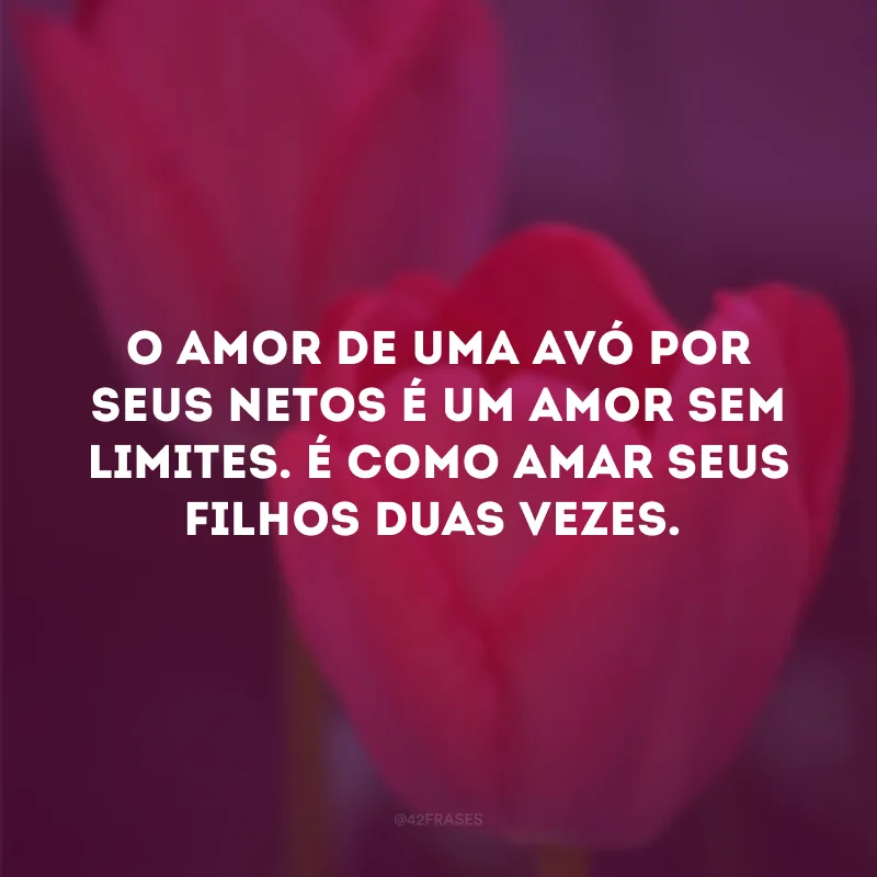 O amor de uma avó por seus netos é um amor sem limites. É como amar seus filhos duas vezes.
