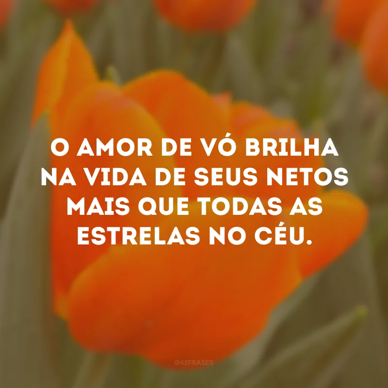 O amor de vó brilha na vida de seus netos mais que todas as estrelas no céu.