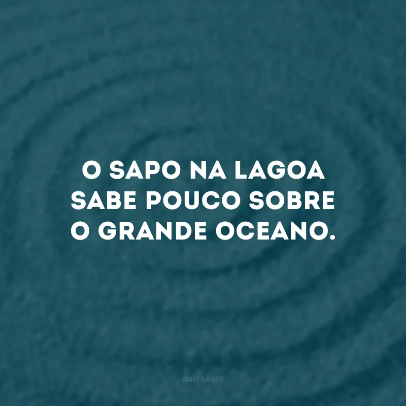 O sapo na lagoa sabe pouco sobre o grande oceano.