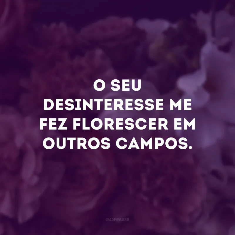 O seu desinteresse me fez florescer em outros campos.