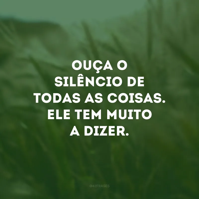 Ouça o silêncio de todas as coisas. Ele tem muito a dizer. 