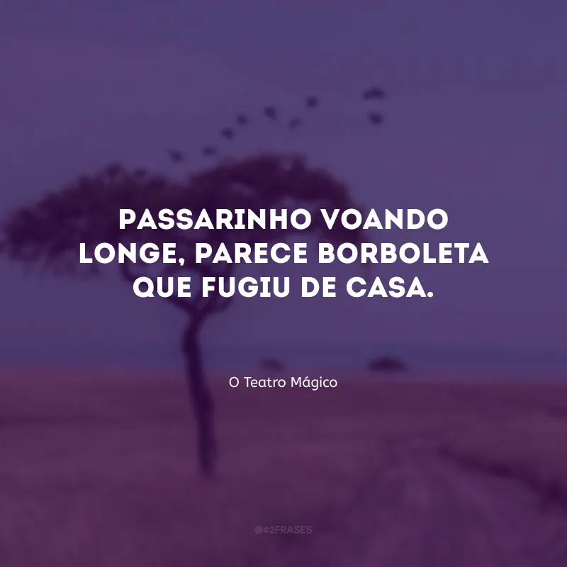 Passarinho voando longe, parece borboleta que fugiu de casa.