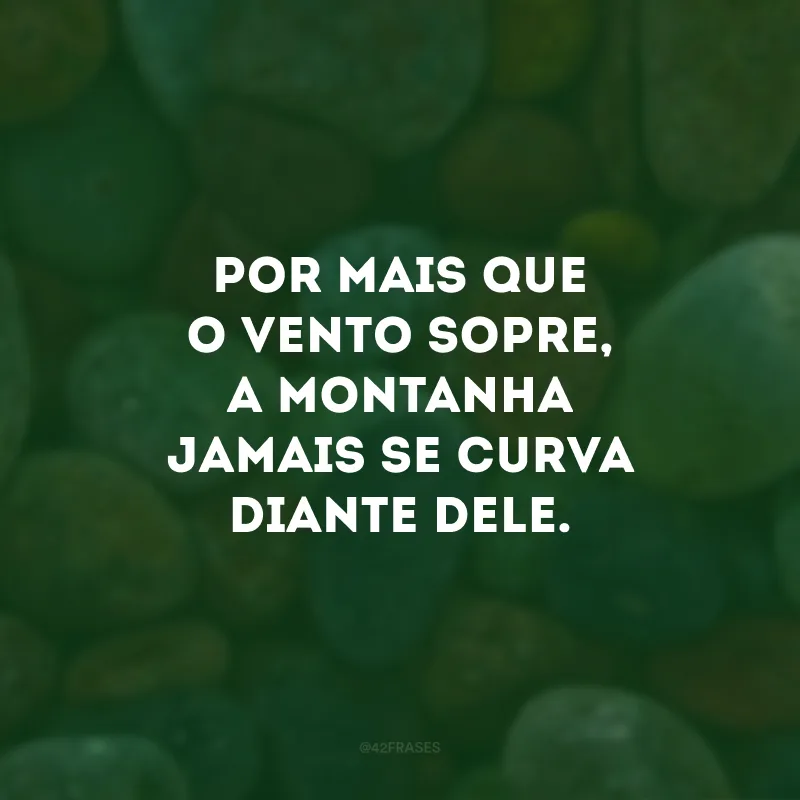 Por mais que o vento sopre, a montanha jamais se curva diante dele.