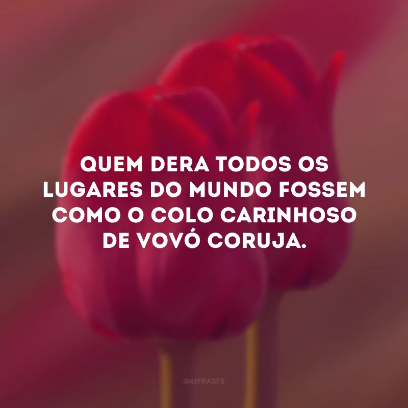 Quem dera todos os lugares do mundo fossem como o colo carinhoso de vovó coruja.