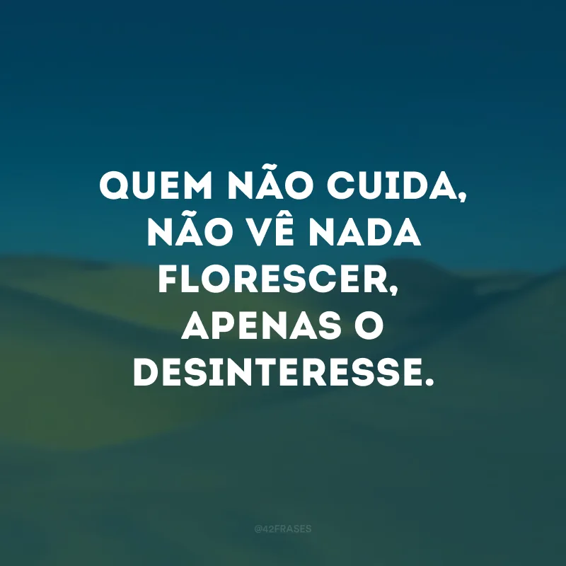 Quem não cuida, não vê nada florescer, apenas o desinteresse.