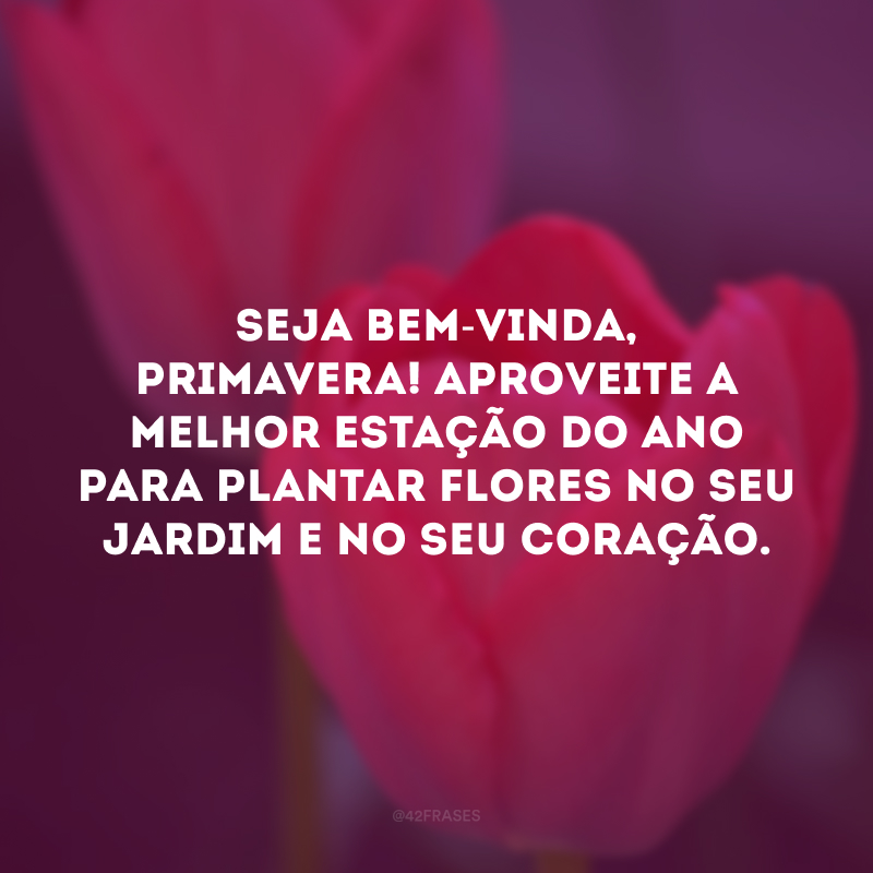 Seja bem-vinda, primavera! Aproveite a melhor estação do ano para plantar flores no seu jardim e no seu coração. 