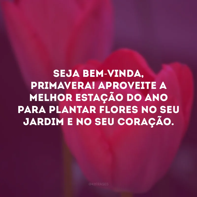 Seja bem-vinda, primavera! Aproveite a melhor estação do ano para plantar flores no seu jardim e no seu coração. 