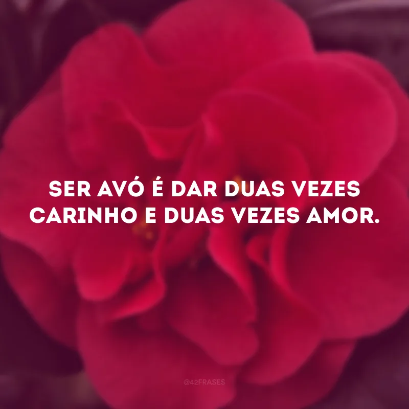 Ser avó é dar duas vezes carinho e duas vezes amor.