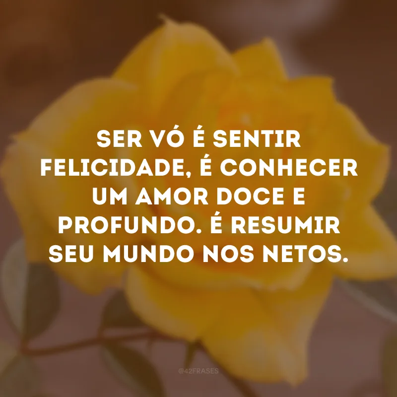 Ser vó é sentir felicidade, é conhecer um amor doce e profundo. É resumir seu mundo nos netos.
