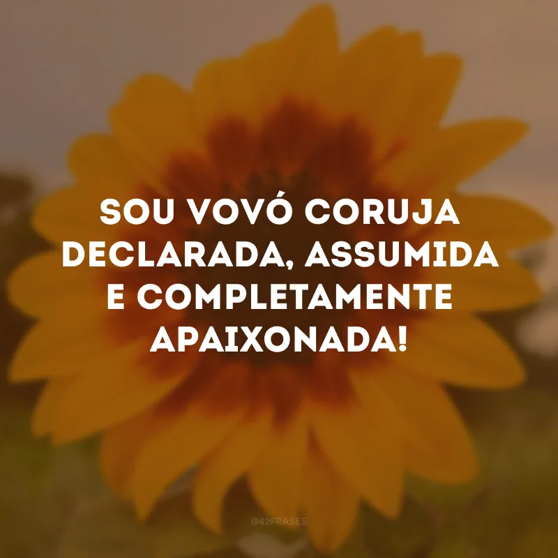 Sou vovó coruja declarada, assumida e completamente apaixonada!