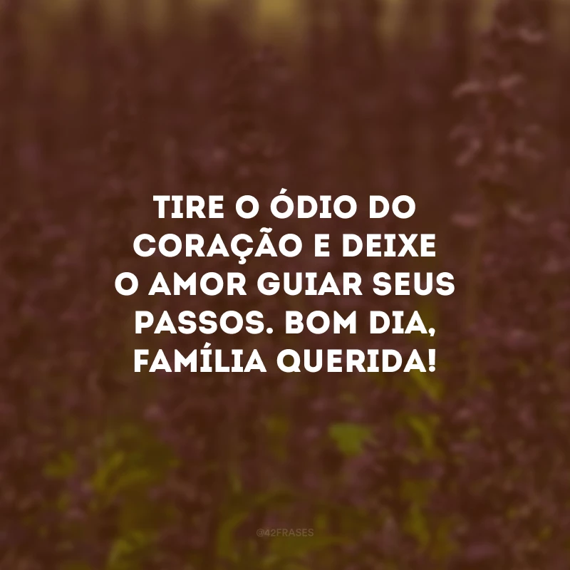 Tire o ódio do coração e deixe o amor guiar seus passos. Bom dia, família querida!