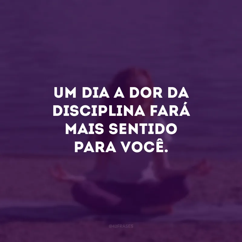 Um dia a dor da disciplina fará mais sentido para você.