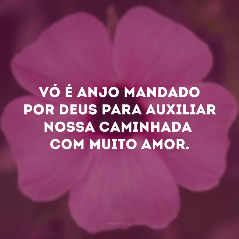 Vó é anjo mandado por Deus para auxiliar nossa caminhada com muito amor.