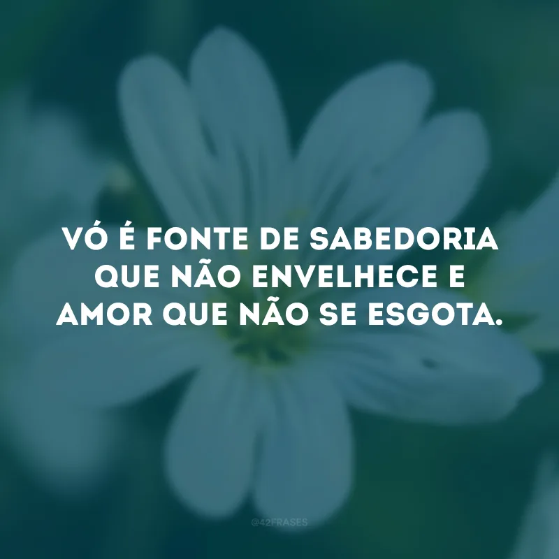 Vó é fonte de sabedoria que não envelhece e amor que não se esgota.