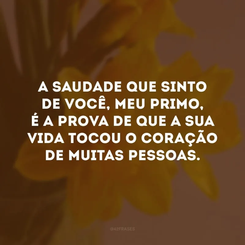 A saudade que sinto de você, meu primo, é a prova de que a sua vida tocou o coração de muitas pessoas. 