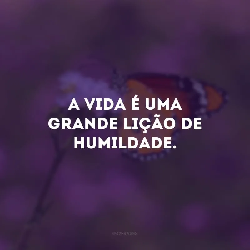 A vida é uma grande lição de humildade.