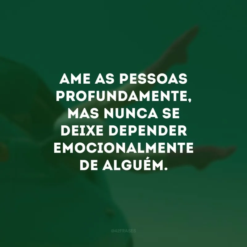 Ame as pessoas profundamente, mas nunca se deixe depender emocionalmente de alguém. 
