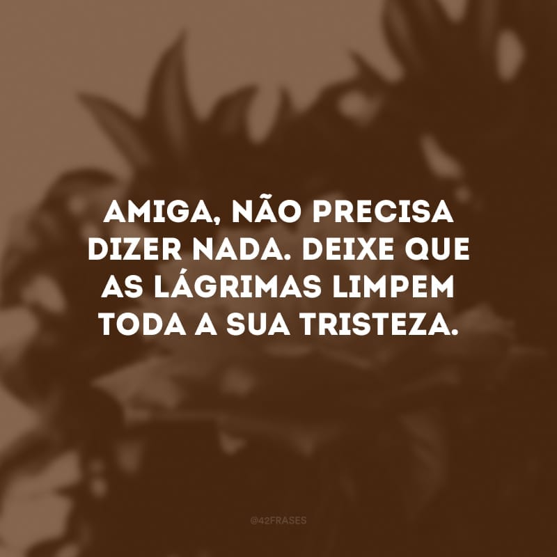 Amiga, não precisa dizer nada. Deixe que as lágrimas limpem toda a sua tristeza. 