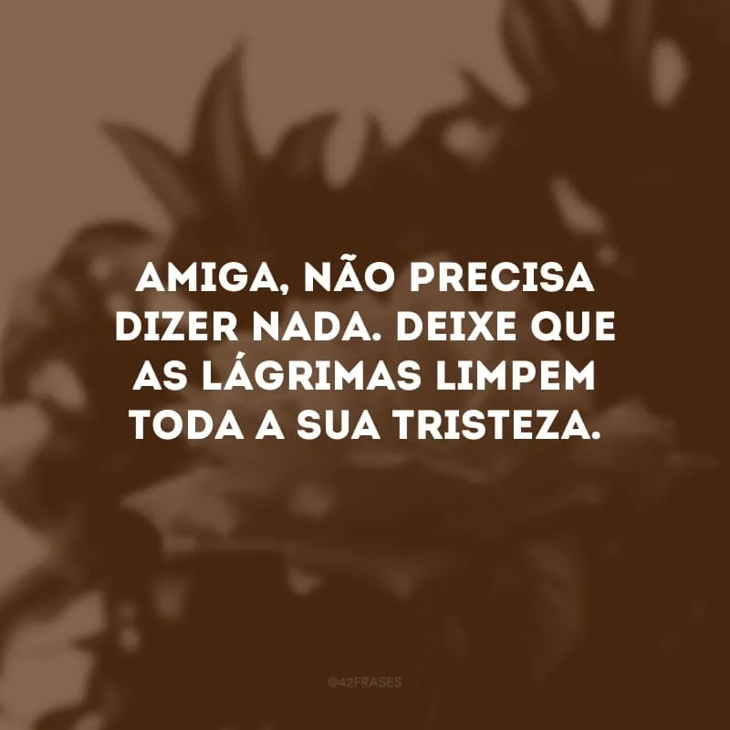 Amiga, não precisa dizer nada. Deixe que as lágrimas limpem toda a sua tristeza. 