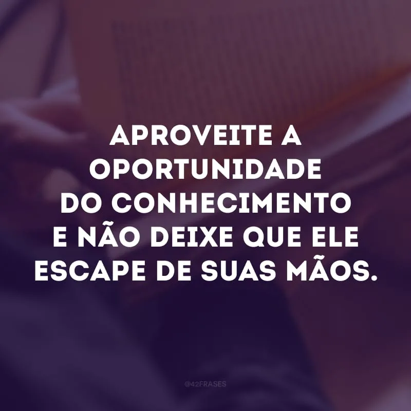 Aproveite a oportunidade do conhecimento e não deixe que ele escape de suas mãos.
