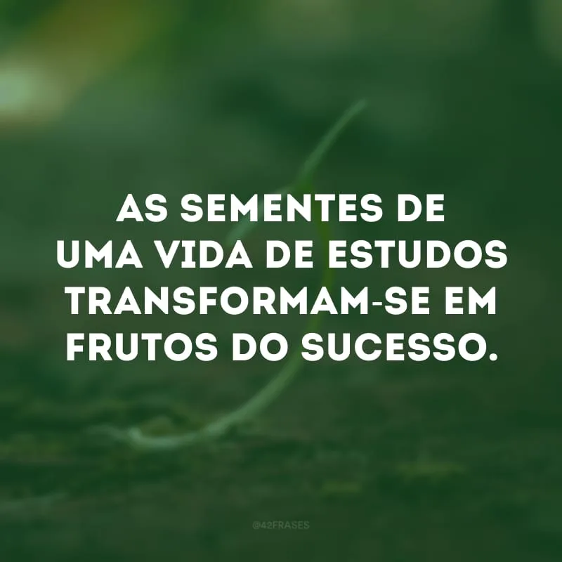 As sementes de uma vida de estudos transformam-se em frutos do sucesso.
