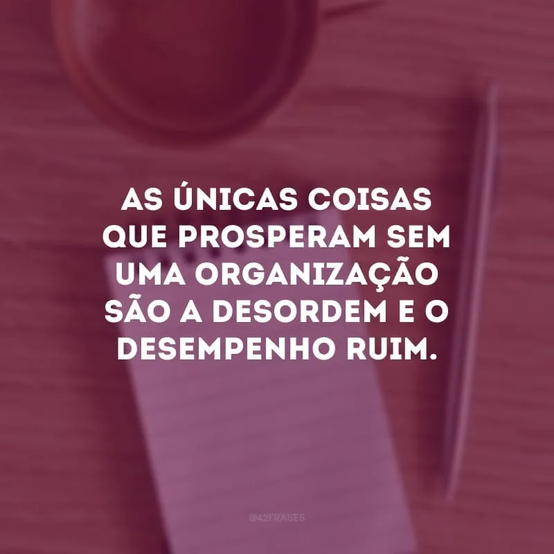 As únicas coisas que prosperam sem uma organização são a desordem e o desempenho ruim.