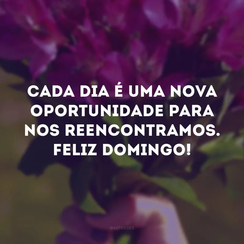 Cada dia é uma nova oportunidade para nos reencontramos. Feliz domingo!
