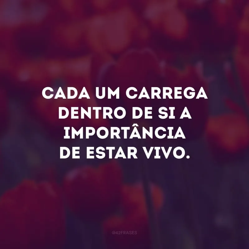 Cada um carrega dentro de si a importância de estar vivo.
