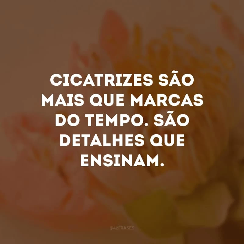 Cicatrizes são mais que marcas do tempo. São detalhes que ensinam.