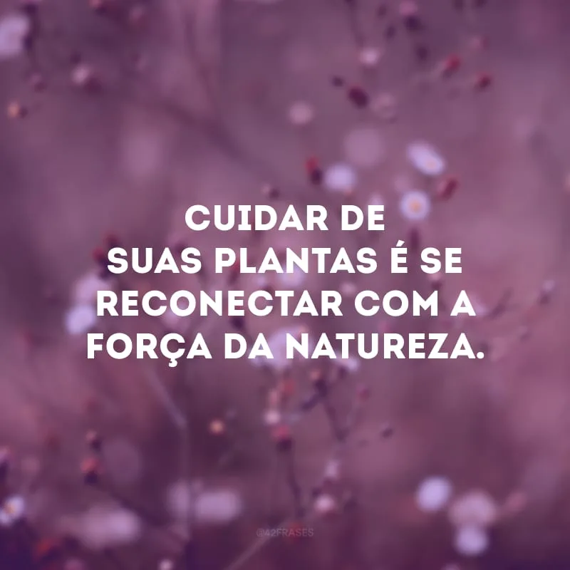 Cuidar de suas plantas é se reconectar com a força da natureza.
