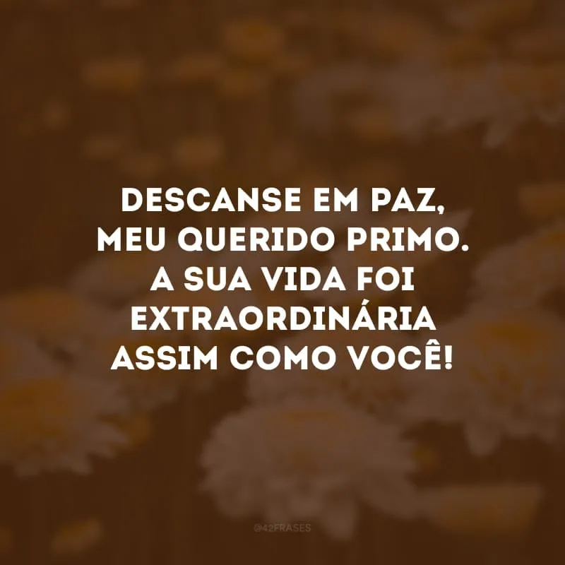Descanse em paz, meu querido primo. A sua vida foi extraordinária assim como você! 