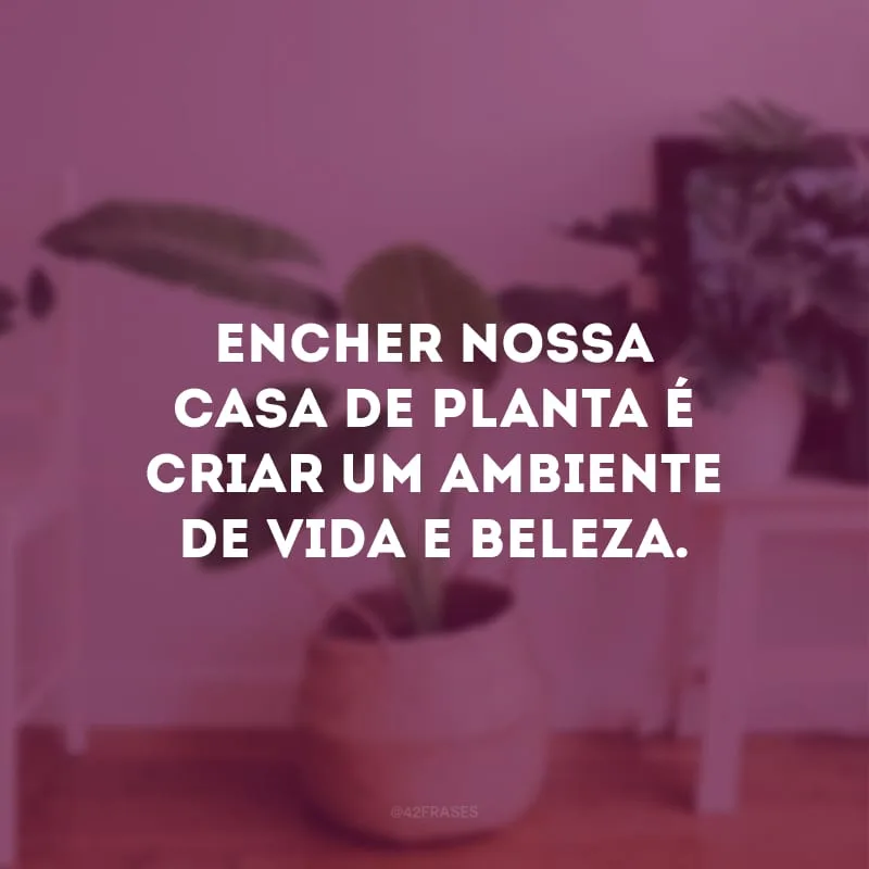Encher nossa casa de planta é criar um ambiente de vida e beleza.
