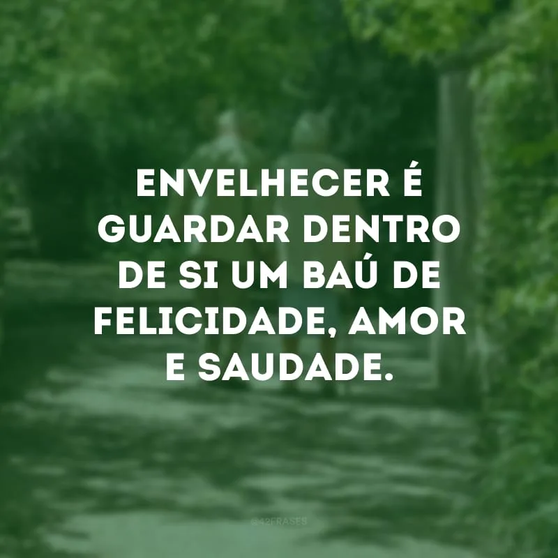 Envelhecer é guardar dentro de si um baú de felicidade, amor e saudade.
